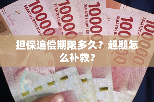 济南担保追偿期限多久？超期怎么补救？
