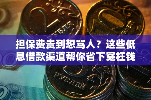济南担保费贵到想骂人？这些低息借款渠道帮你省下冤枉钱
