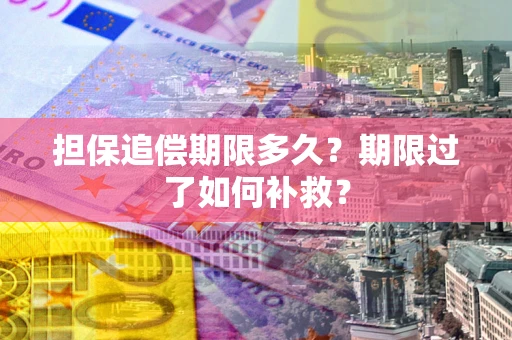 济南担保追偿期限多久？期限过了如何补救？