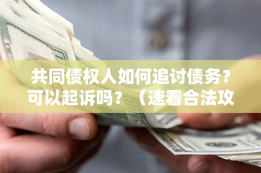 济南共同债权人如何追讨债务？可以起诉吗？（速看合法攻略）