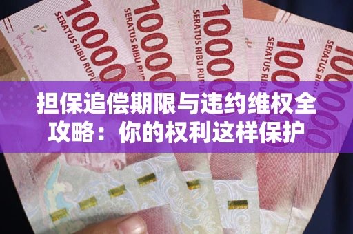 济南担保追偿期限与违约维权全攻略：你的权利这样保护