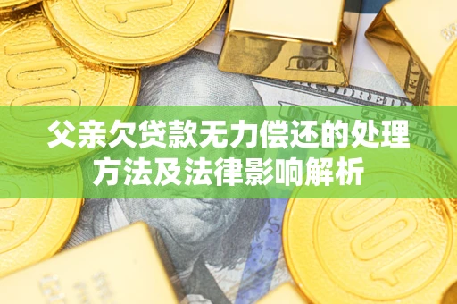 济南父亲欠贷款无力偿还的处理方法及法律影响解析